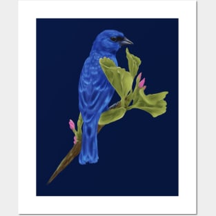 Indigo Bunting Posters and Art